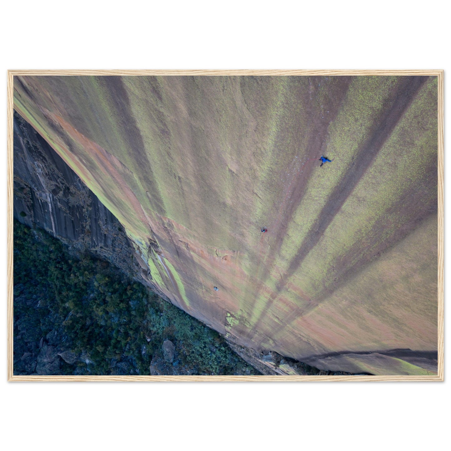 4105b6ce-d459-4991-9ff2-bd61c43ab701
