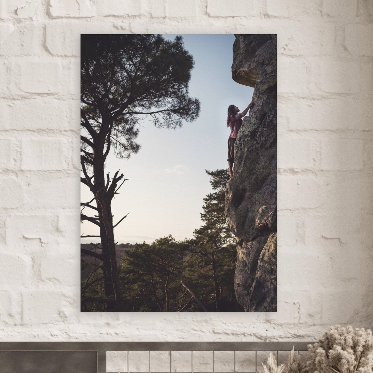 cd0ff683-4088-4cc8-b459-0447529d0a61