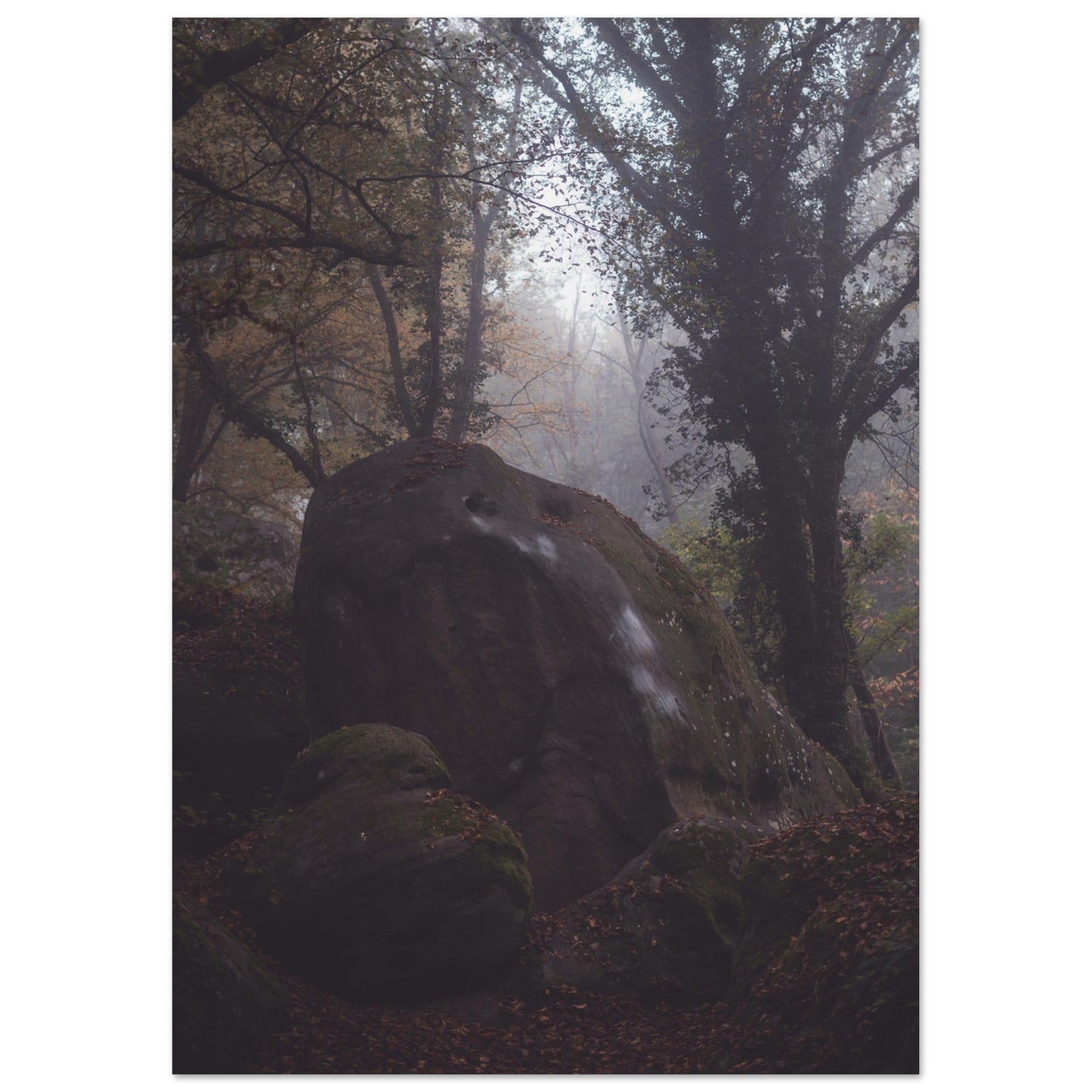 f268c35e-f600-4883-88e5-ef04c78ae2f3