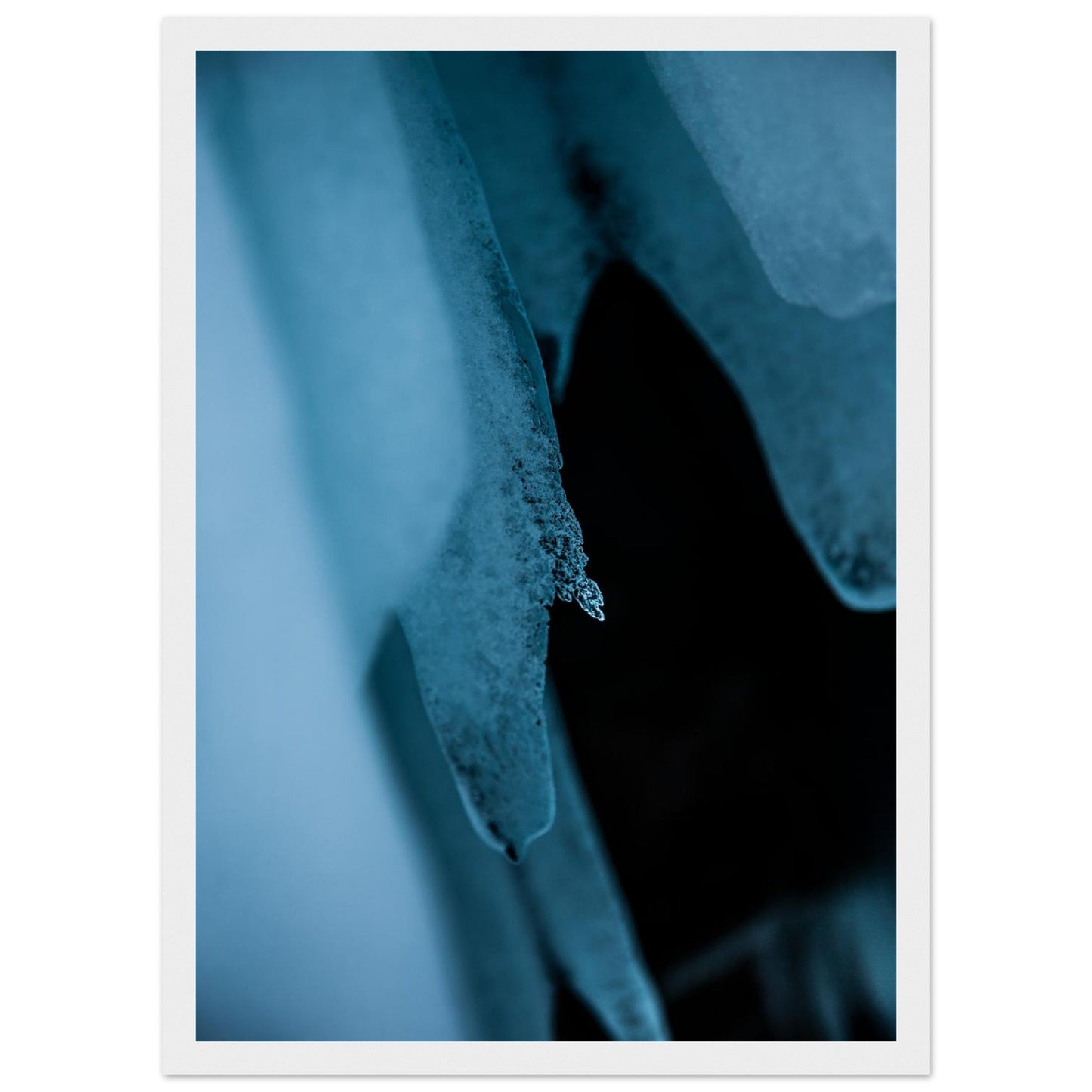 09d2fd60-2eb6-483d-87a2-6501ba59592e