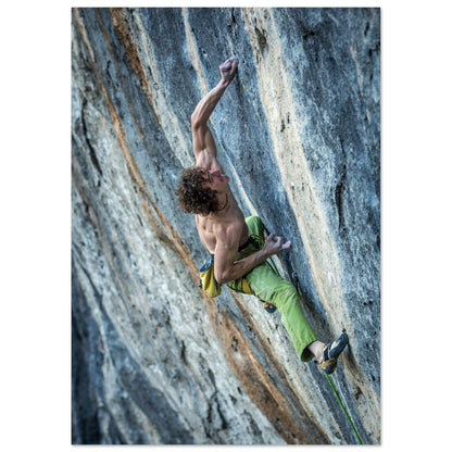 0a2b0593-404b-4bd6-8f12-bb748a1e3720