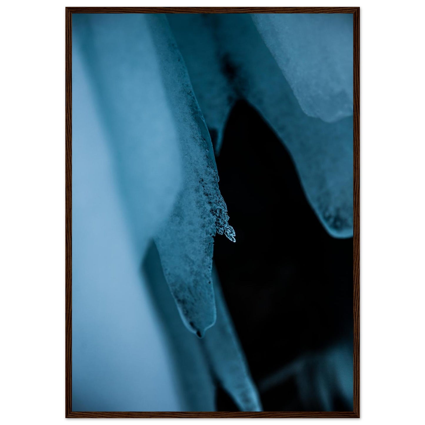 2759dfdb-4b09-4e88-9946-f24e8234a615