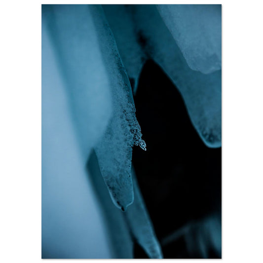 39db1079-de57-46f0-bf07-ab355e98591a