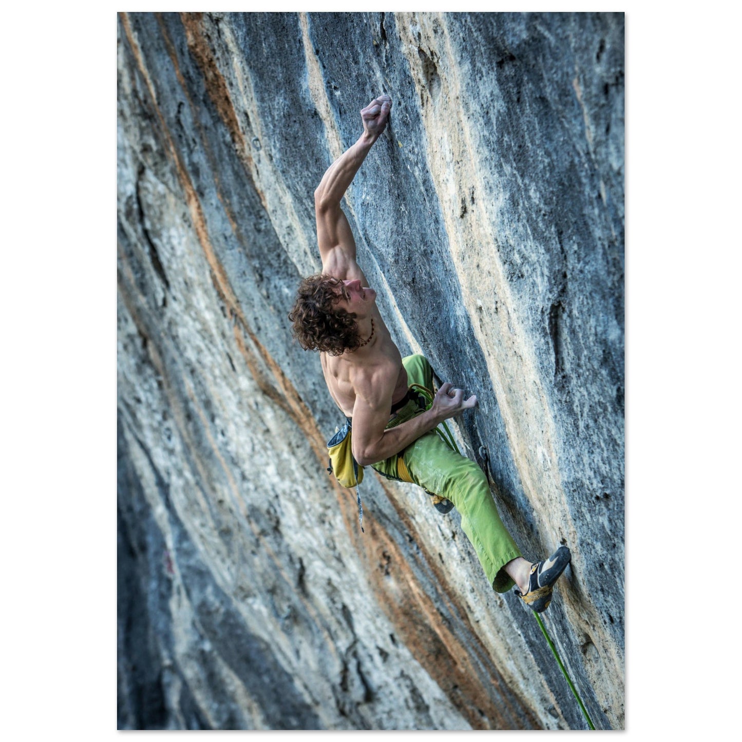 43447d85-3c0e-4db9-8d1d-17a751c476c4