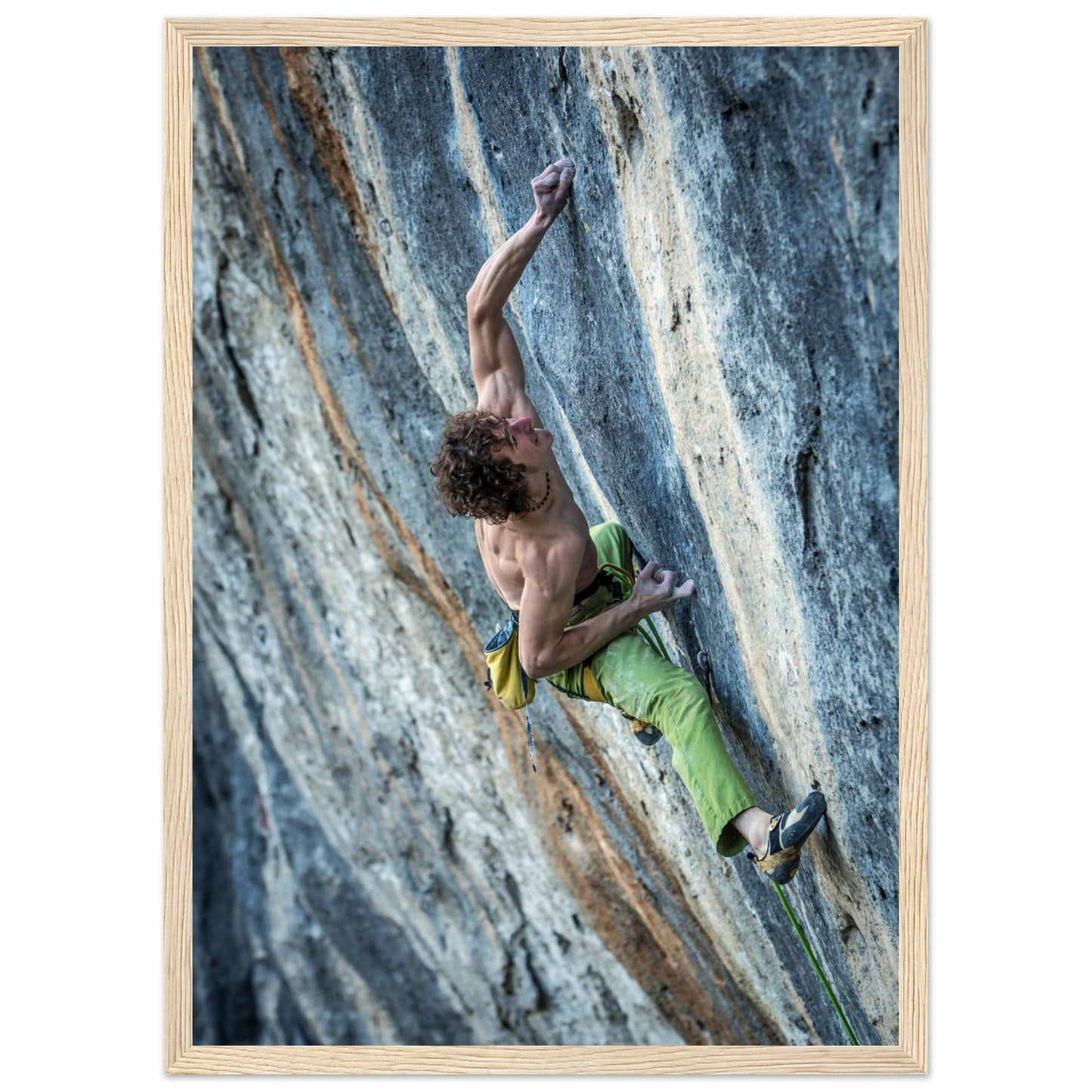 81c1562a-73a7-4a75-b72c-b88934181aac