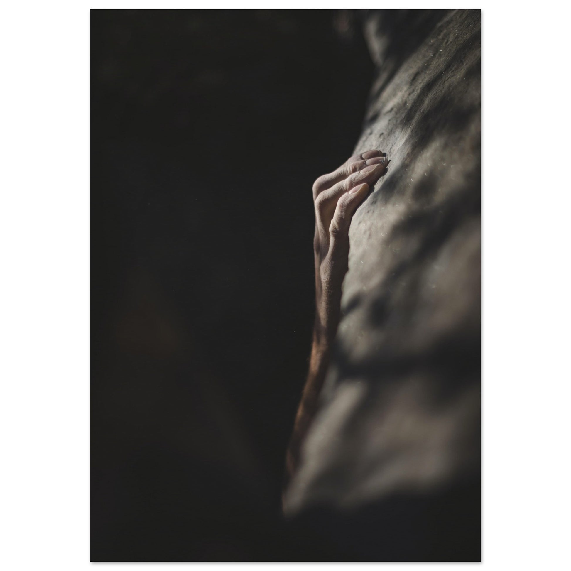 b8792cee-0833-4ac6-b4e2-2b872f5b8ce4