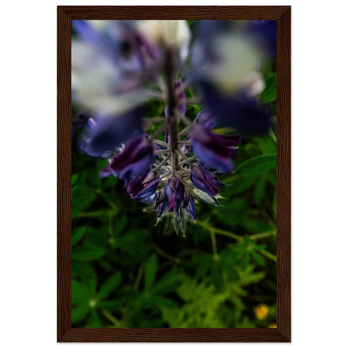 cf083957-c164-40f4-a43f-c752541234d6