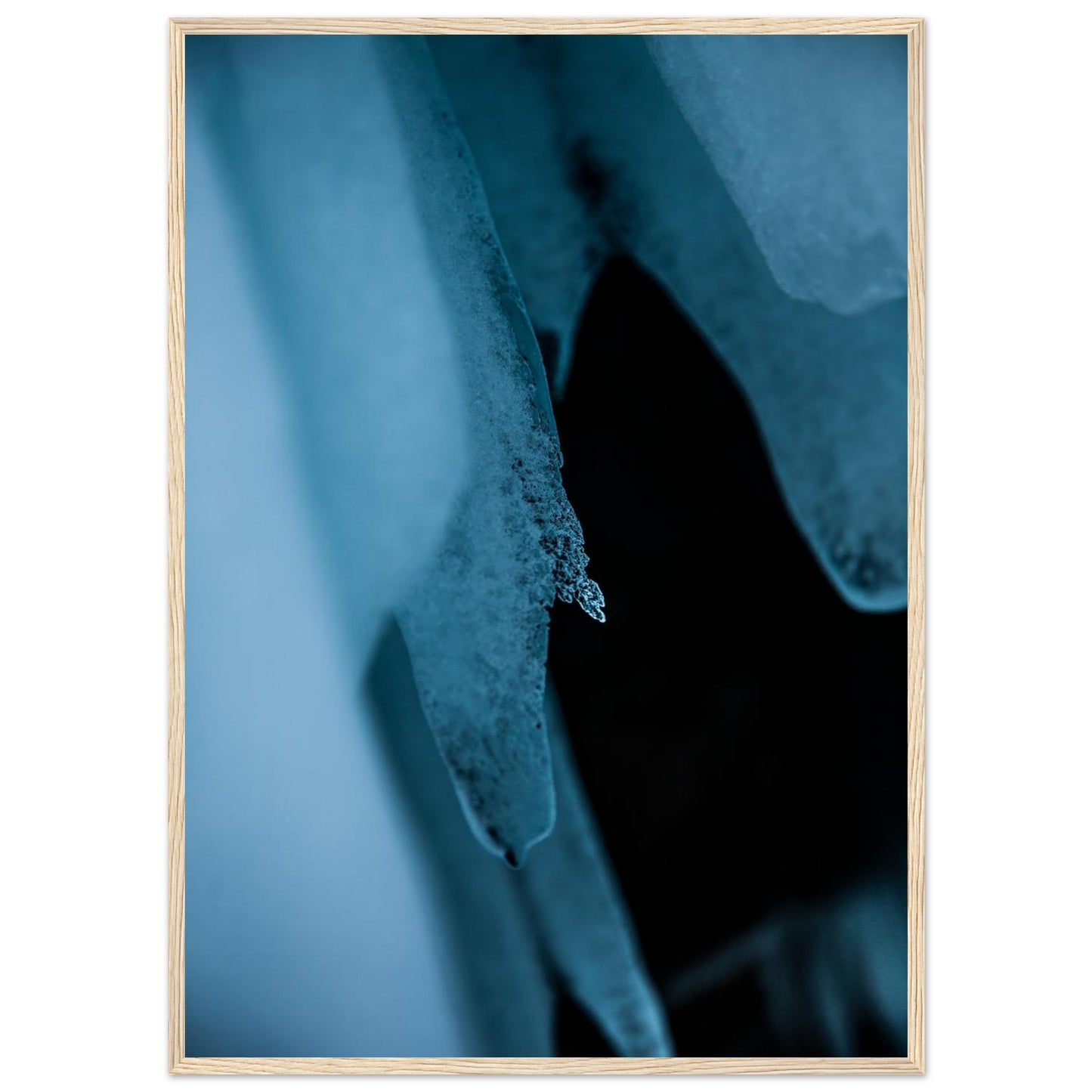 d9626967-2e1d-4e77-8623-aa99757d8310