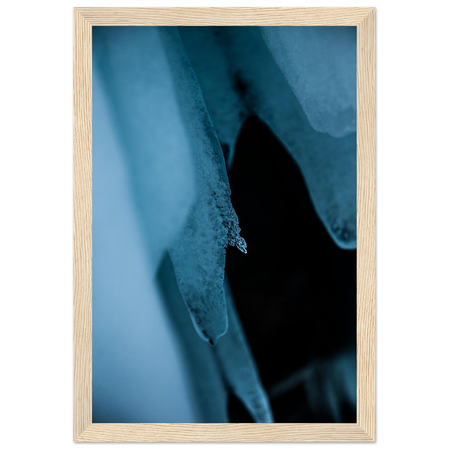 ffc4efa9-7499-4ff4-8dd6-a2e74c35da79